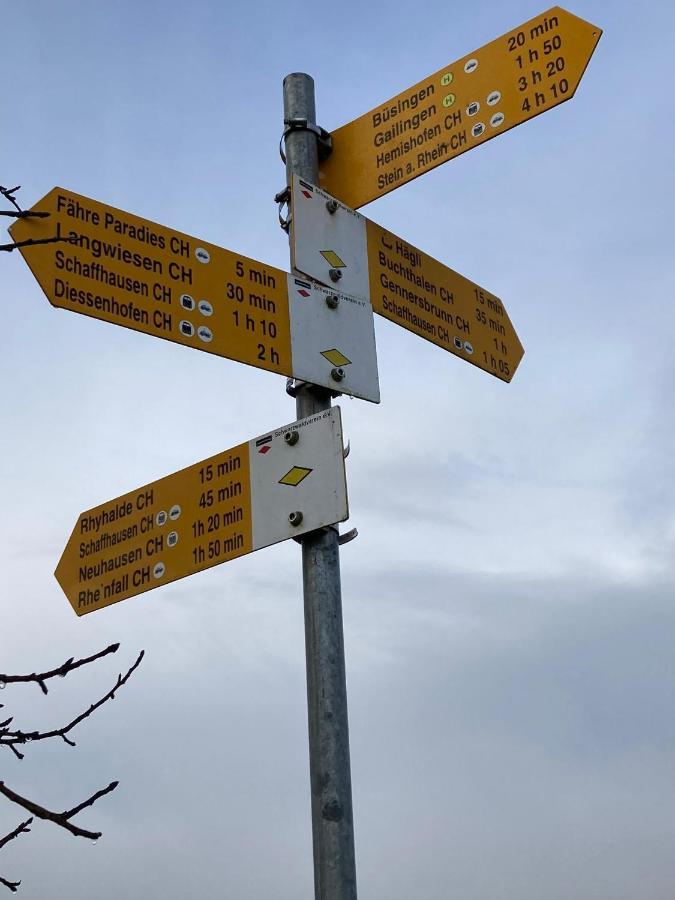 Buesingen Am Hochrhein Radfahren, Wandern, Natur Geniessen Exterior photo
