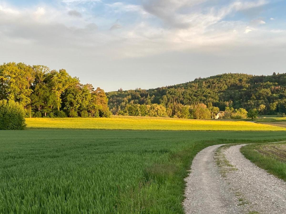 Buesingen Am Hochrhein Radfahren, Wandern, Natur Geniessen Exterior photo