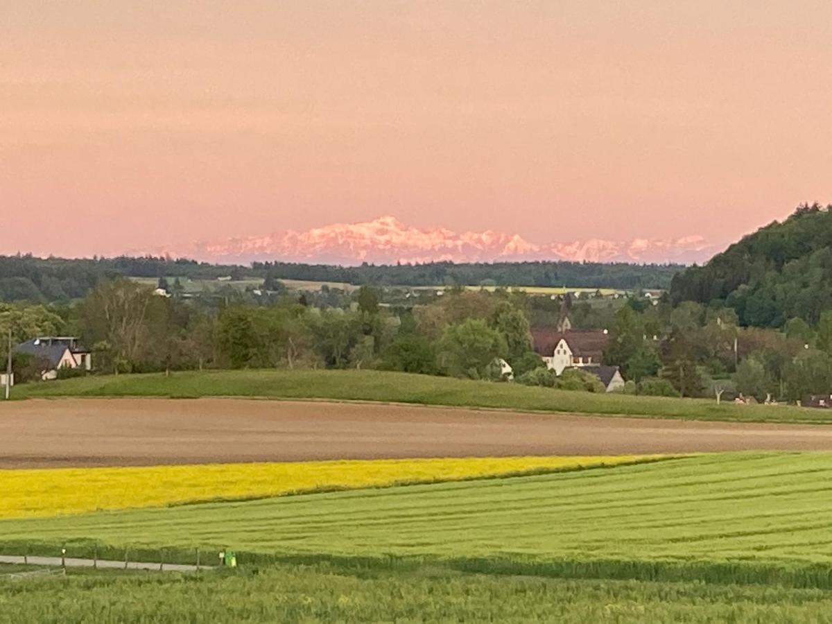 Buesingen Am Hochrhein Radfahren, Wandern, Natur Geniessen Exterior photo