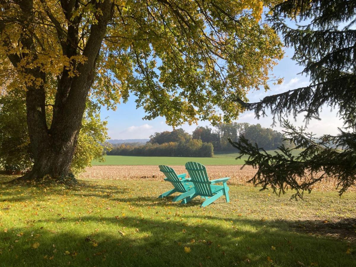 Buesingen Am Hochrhein Radfahren, Wandern, Natur Geniessen Apartment Exterior photo