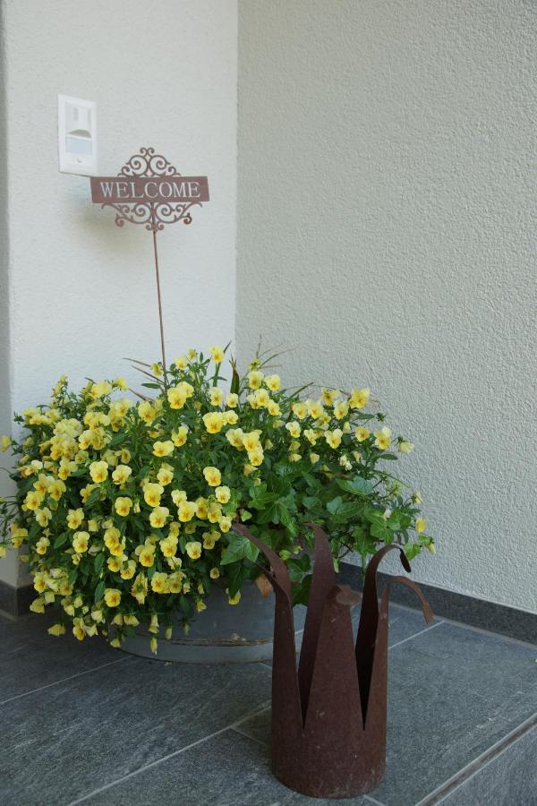 Buesingen Am Hochrhein Radfahren, Wandern, Natur Geniessen Apartment Exterior photo